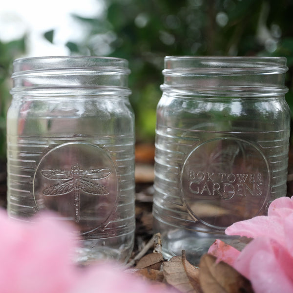Bok's Dragonfly Grapefruit Soy Candle