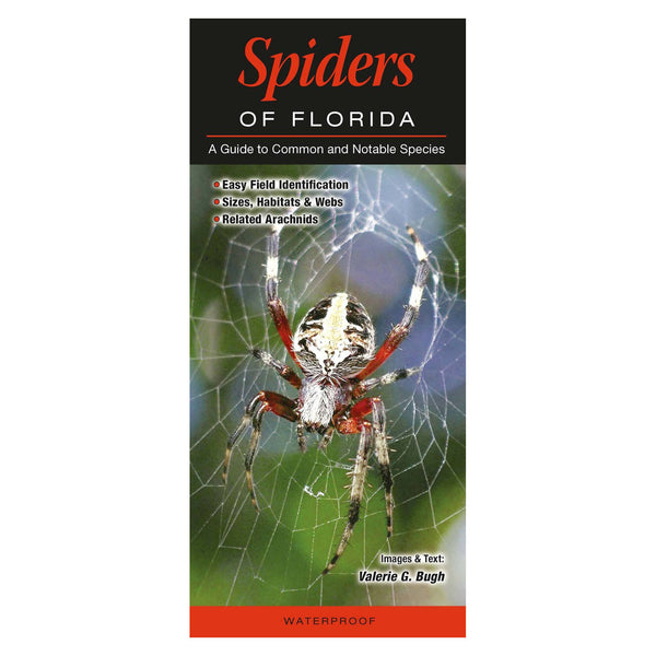 Spiders Of Florida Folding Pocket Guide