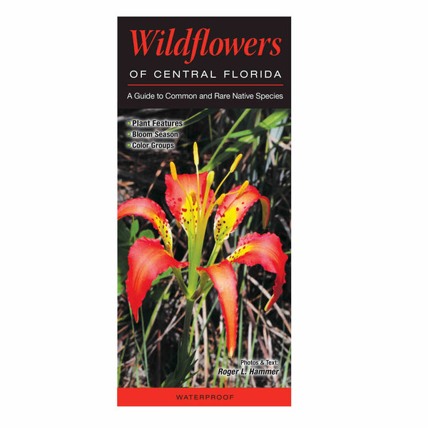 Wildflowers Of Central Florida Folding Pocket Guide