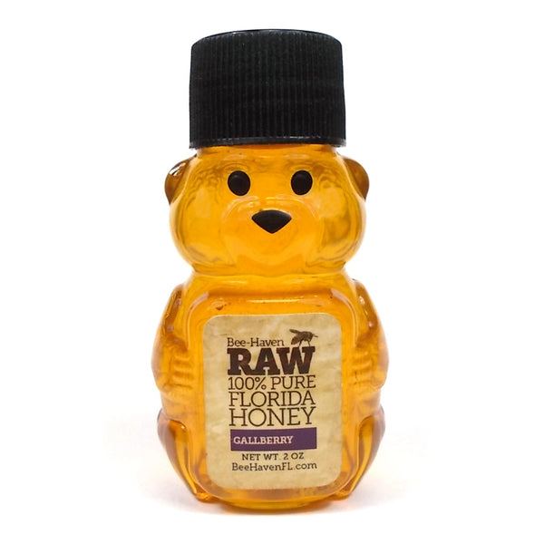 Gallberry Honey Bear