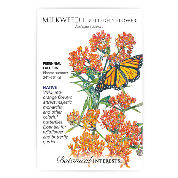 Milkweed - Butterfly Flower